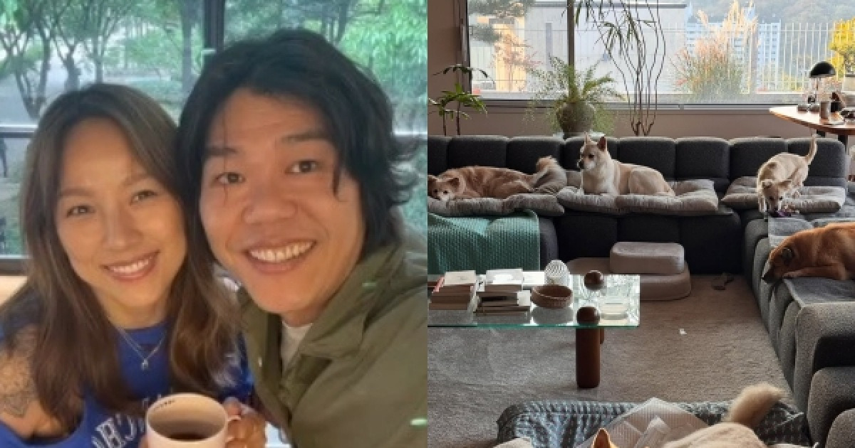 이효리♥이상순, 전액 현금 매입 60억 평창동 집 공개했다…반려견들까지 힐링 그 자체