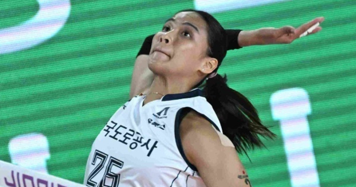 '공수겸장' 타나차의 놀라운 성장... 물올랐다