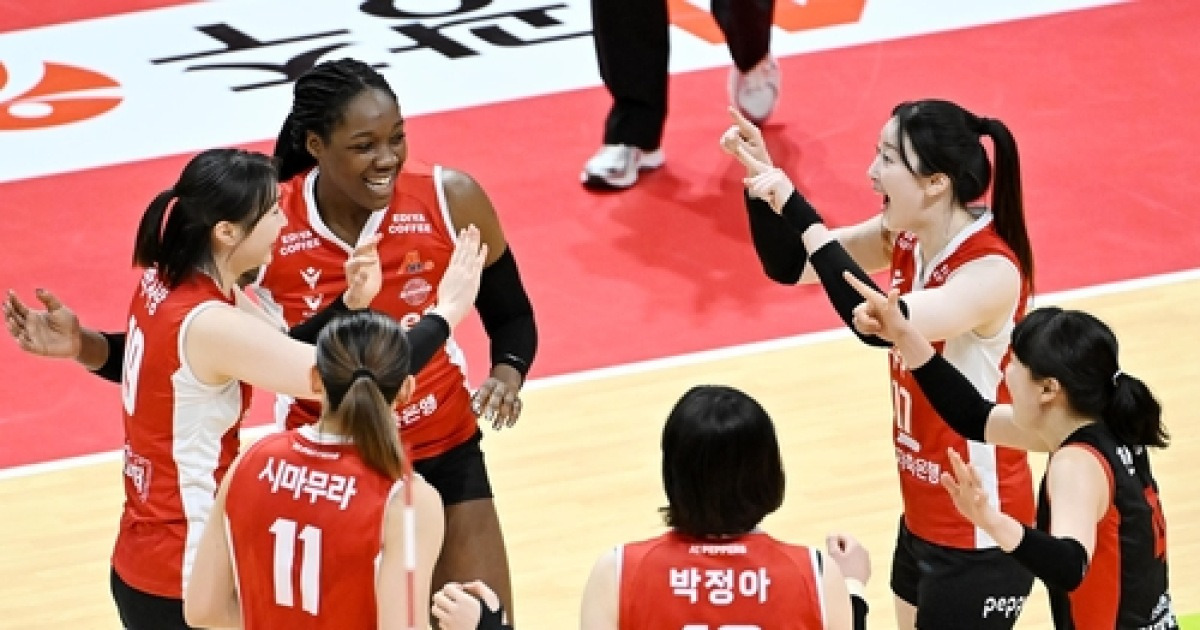 페퍼, 현대건설 꺾고 선두 추격 시동…KB손보는 1위 탈환(종합)