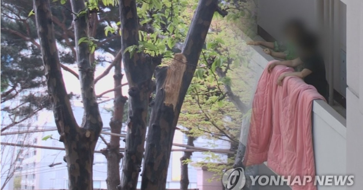 남양주 아파트서 20대 추락사...이불 털다 '기우뚱'