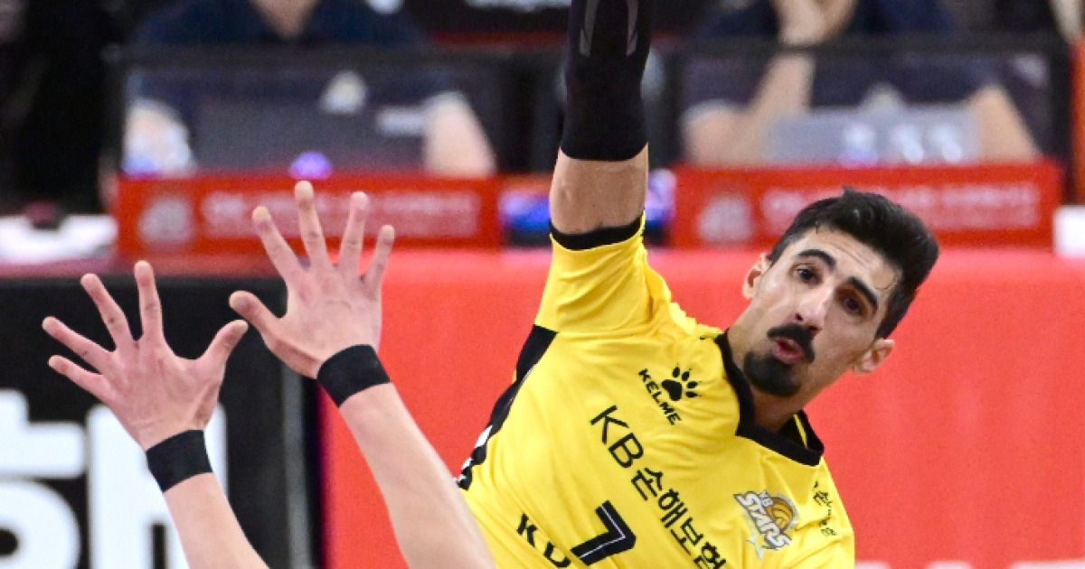 '자고 일어나면 바뀐다' KB손해보험, 3연승으로 1위 탈환…女 페퍼저축은행도 1위 추격