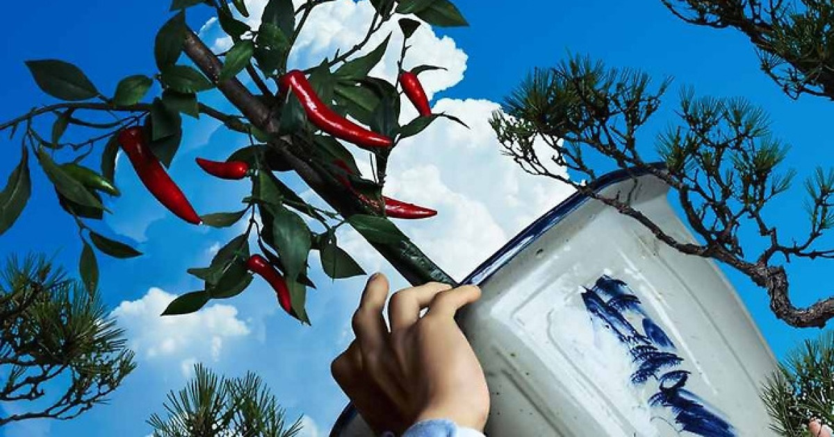 2025 청룡영화상 후보 16편 중 ‘기후현실점검테스트’ 통과한 1편은?