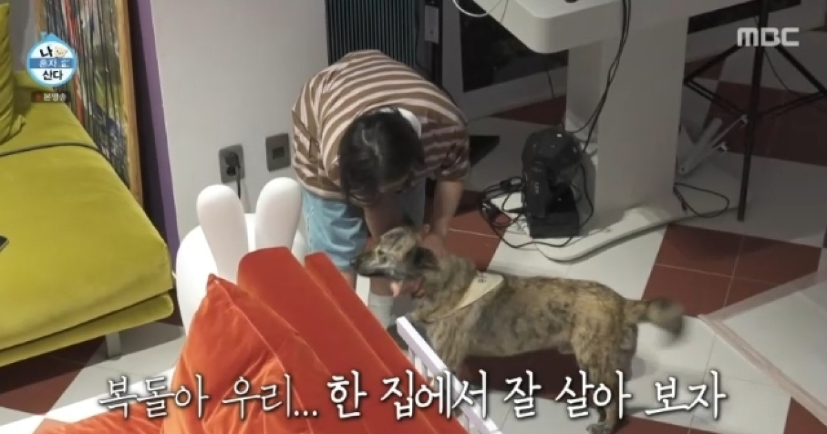 조부 반려견 입양 박나래 “부둥켜안고 1시간 울어” 보란듯 잘 살 결심(나혼산)[어제TV]