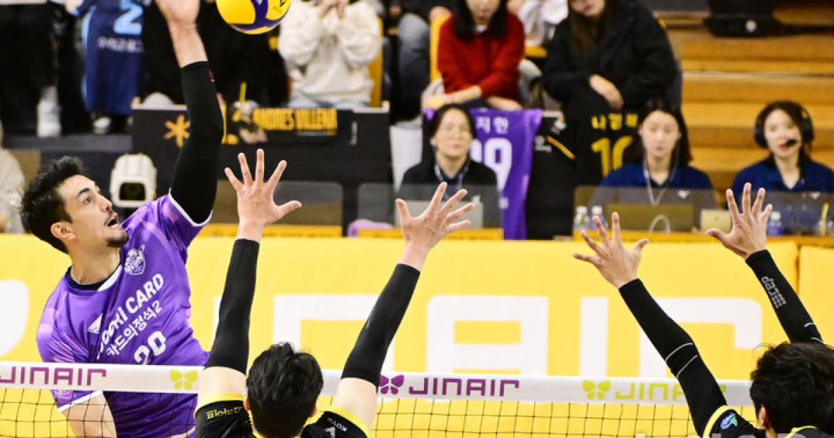 '아라우조·알리 52점 합작' 우리카드 연승…KB손해보험 선두 탈환 저지