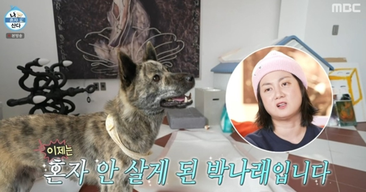"이제 혼자 안 살아"…박나래, 동거 시작한 반려견 '복돌이' 공개(나혼산)[텔리뷰]