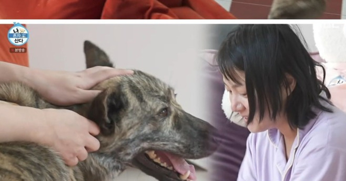 ‘나혼자산다’ 박나래, 반려견 복돌이 공개