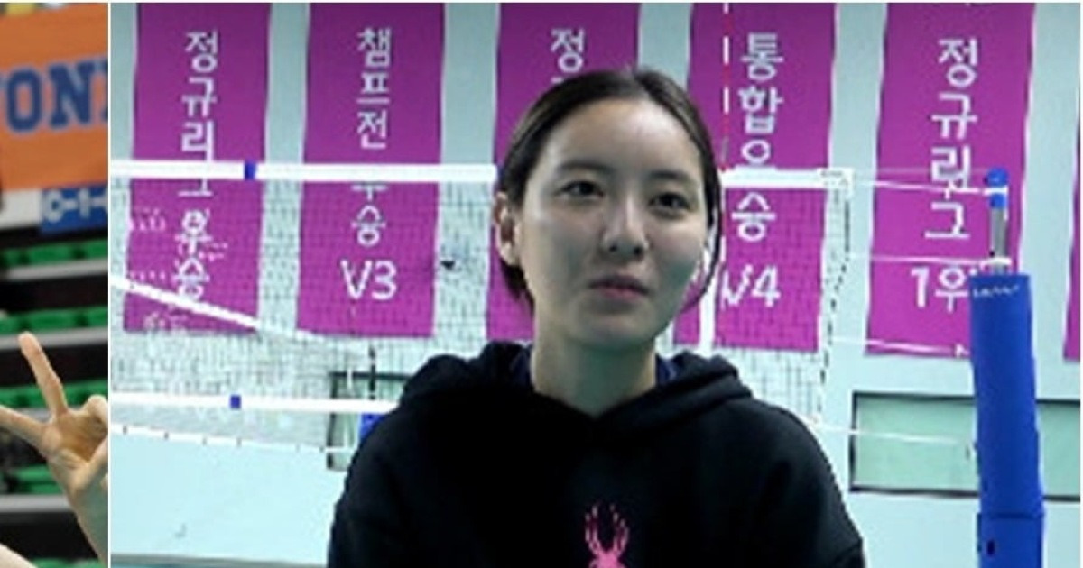 흥국생명 복귀 관련 보도 이미지