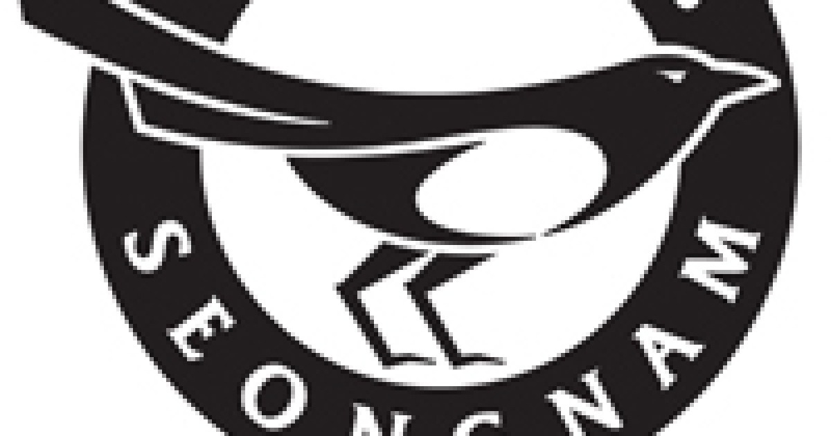 PO 향한 마지막 미션… 성남, 서울E를 넘어라