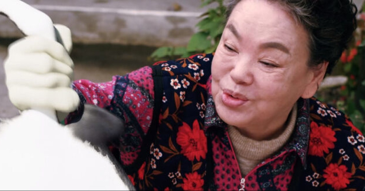 故 김수미 유작 '홍어의 역습'…흔쾌히 출연한 '마지막 코미디' [MD현장](종합)