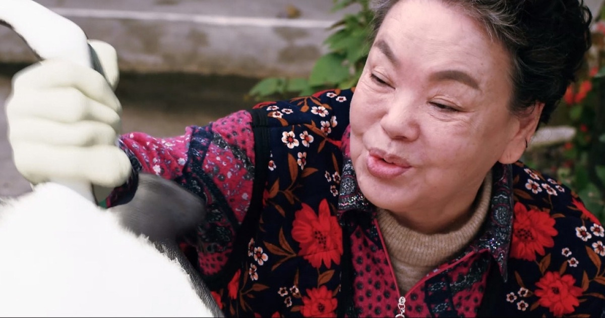 故 김수미의 마지막 코미디 영화…'홍어의 역습' 내달 개봉