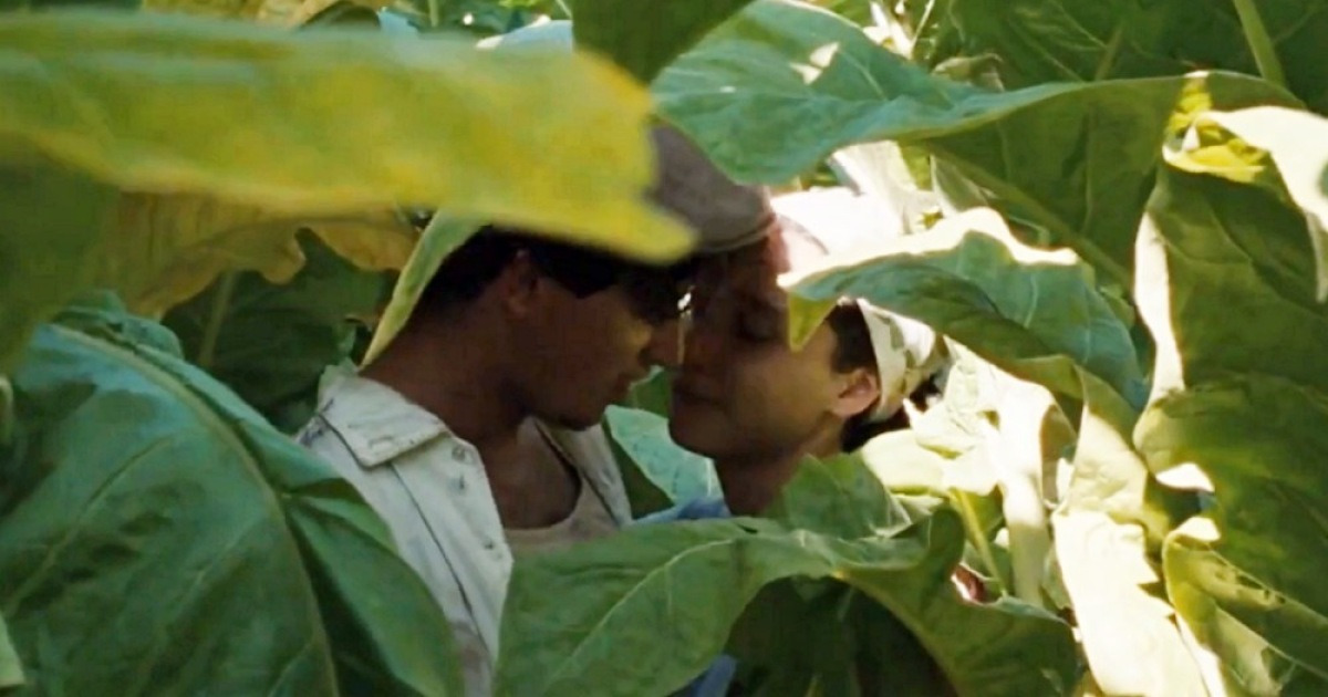 봉준호 감독 울리고 칸 수상한 '최고의 작품'…7년 만에 극장 찾는다