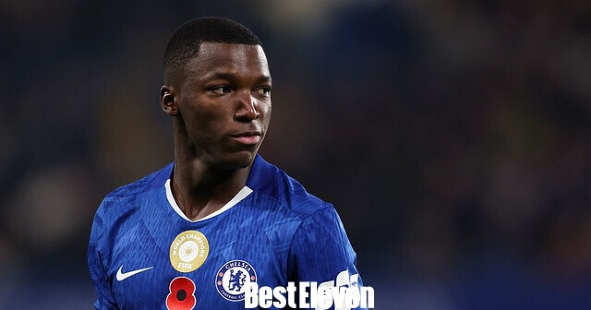 카이세도 관련 보도 이미지