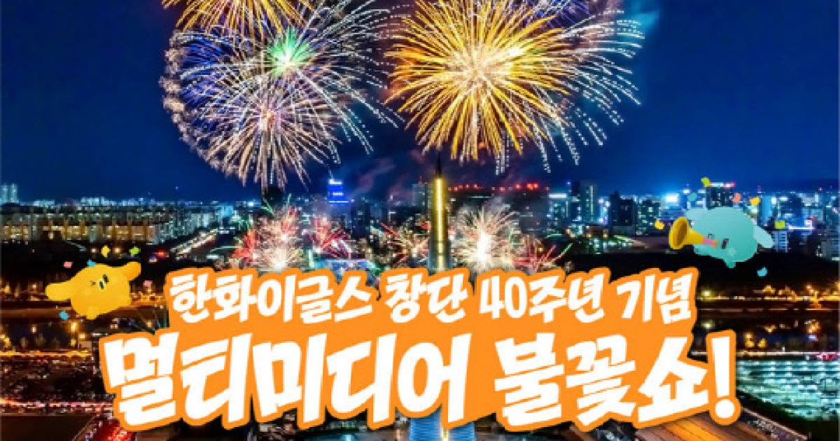 행안부 대전 불꽃쇼 안전관리 보도 이미지