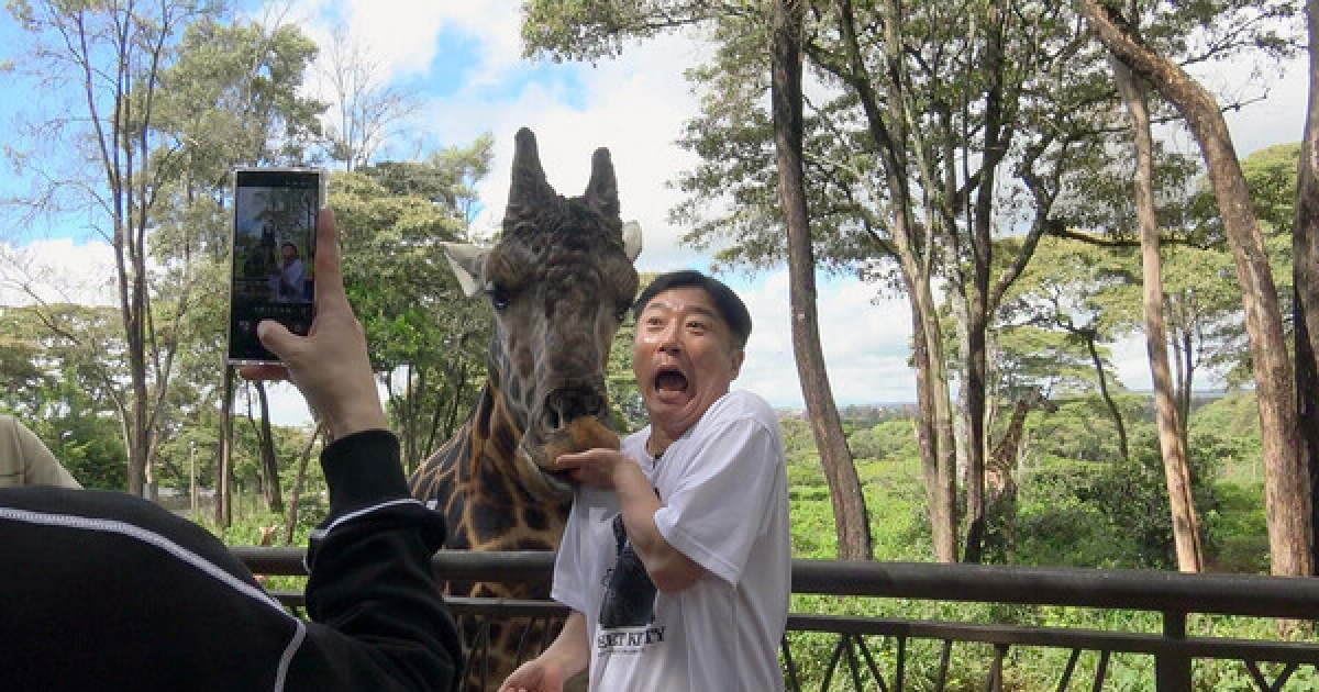 '케냐 간 세끼'로 넷플릭스 입주한 나영석, 그 익숙함의 전략 [예능 뜯어보기]