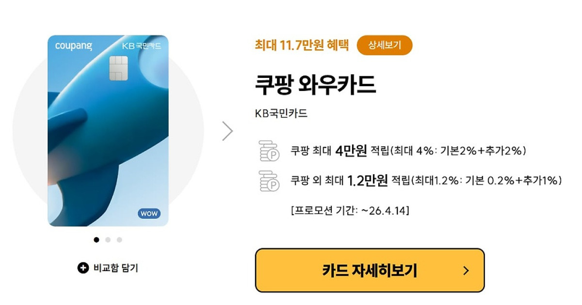 쿠팡 제휴 신용카드 가입자 수백만명… 2차 피해 우려 확산
