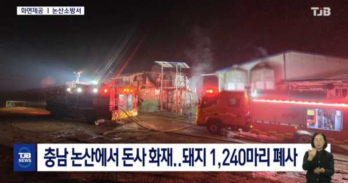 충남 논산에서 돈사 화재‥돼지 1,240마리 폐사