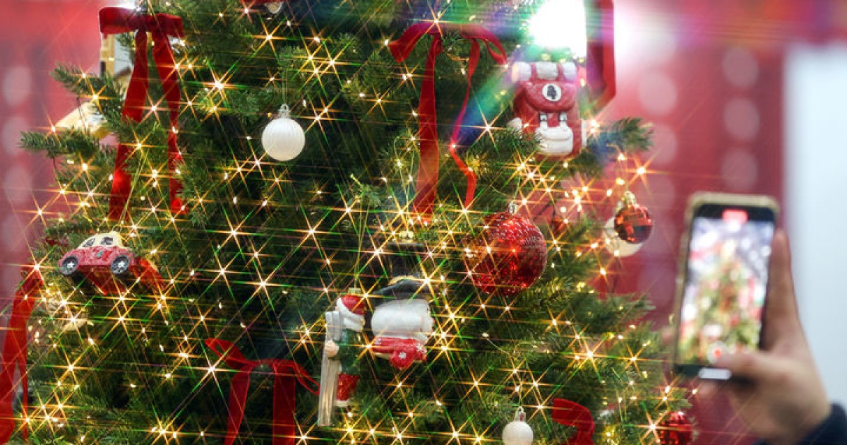 木はアレルギーを引き起こすのでしょうか？ 「クリスマスツリー症候群」への警告