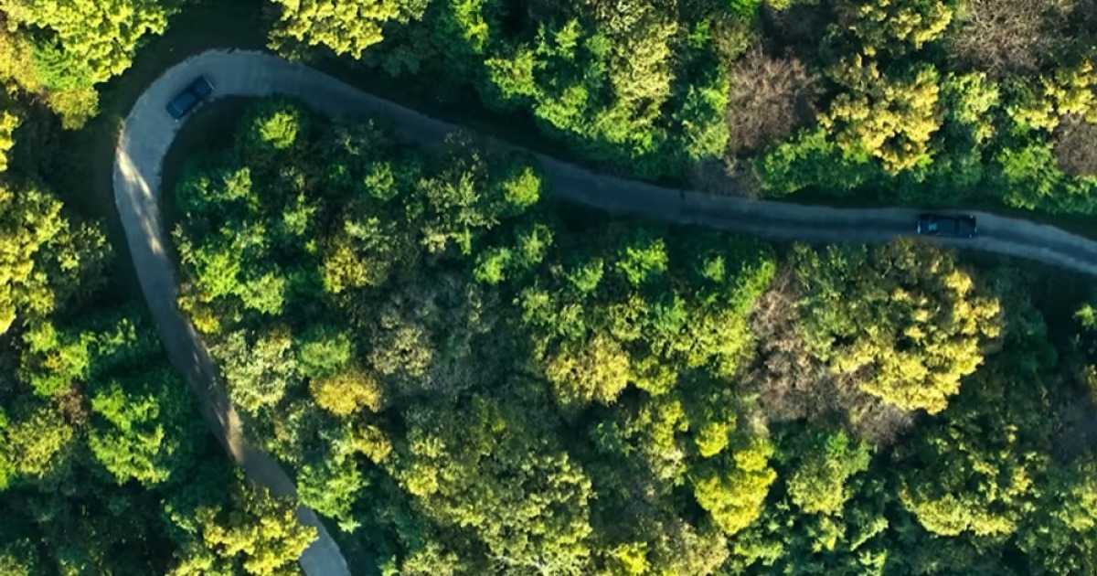 디즈니+ 각잡고 준비했다…공개 전부터 시즌2 확정해버린 한국 드라마
