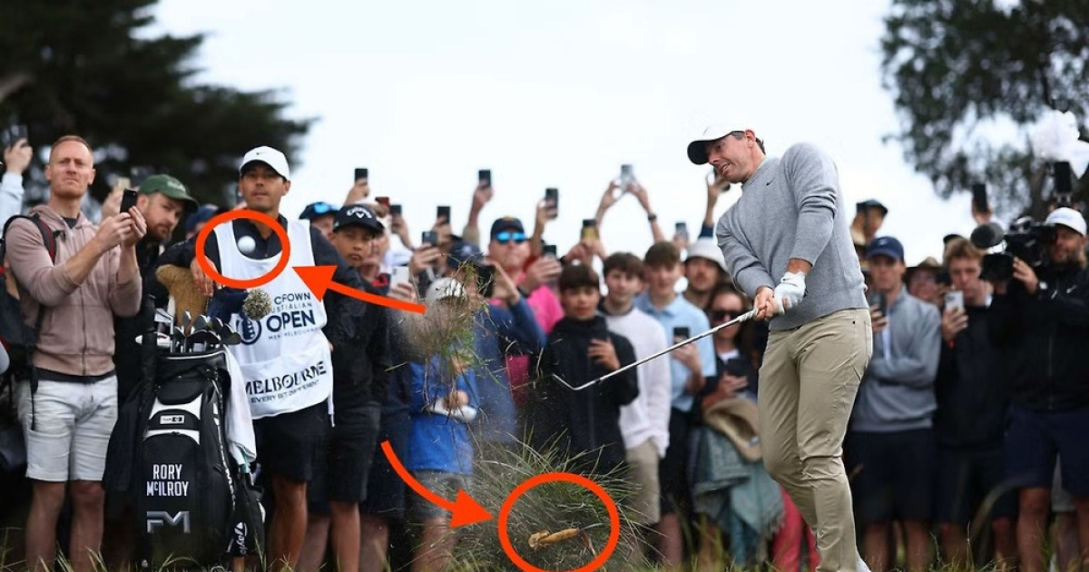 로리 매킬로이는 왜 바나나 껍질을 공과 함께 쳤을까