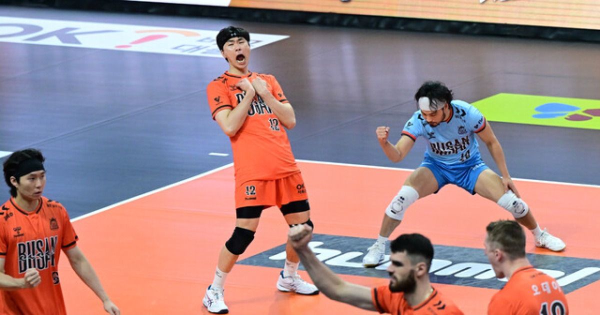 OK저축은행의 철벽 블로킹…10연승 훨훨 날던 대한항공 잡았다