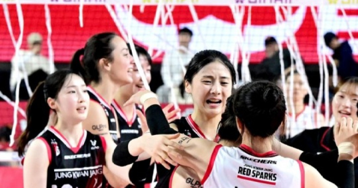 정관장, 페퍼저축은행 3-1 역전승으로 4연패 탈출…탈꼴지 기반 마련