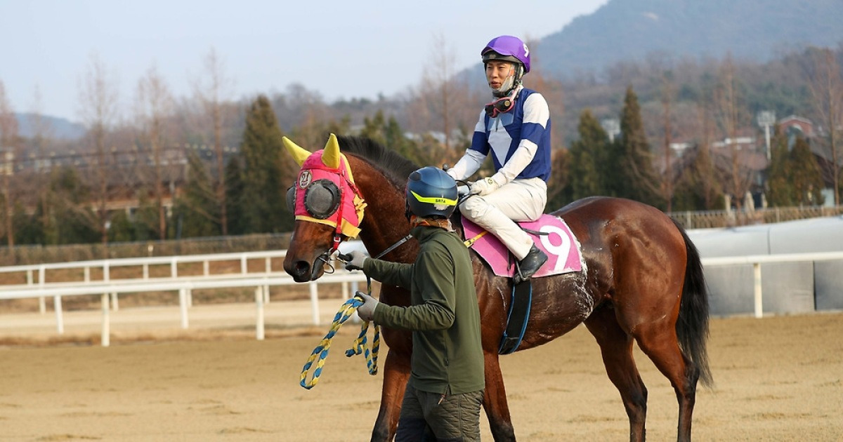‘제12회 MBN배’, 출전마 중 가장 어린 ‘태양의전사’의 여유로운 우승