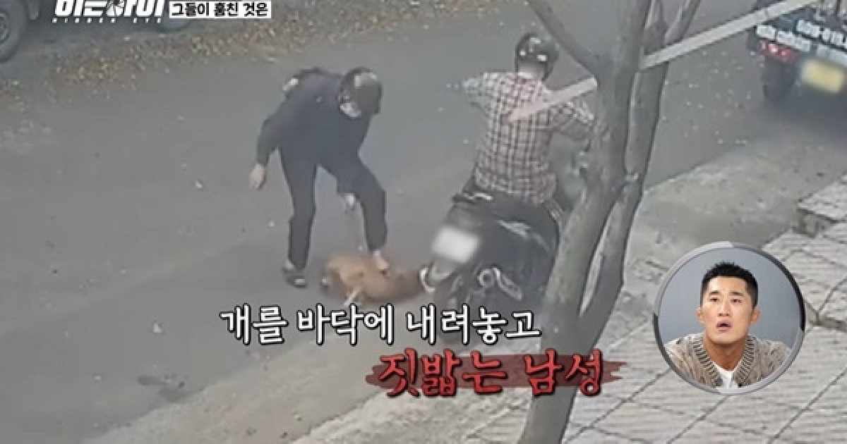 개 짓밟은 도둑들 확 들이받은 차량 “이런 분노조절장애는 환영” (히든아이)[어제TV]