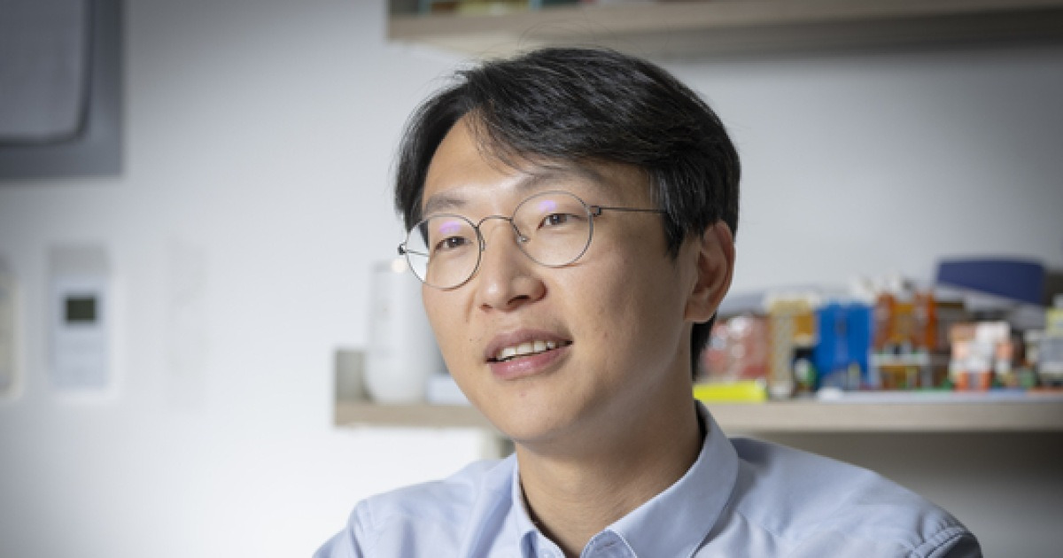 정희원 관련 보도 이미지