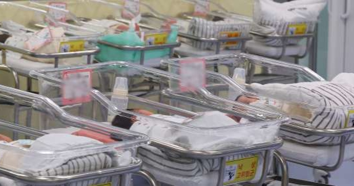 한국의 다태아 출산 관련 기사 이미지