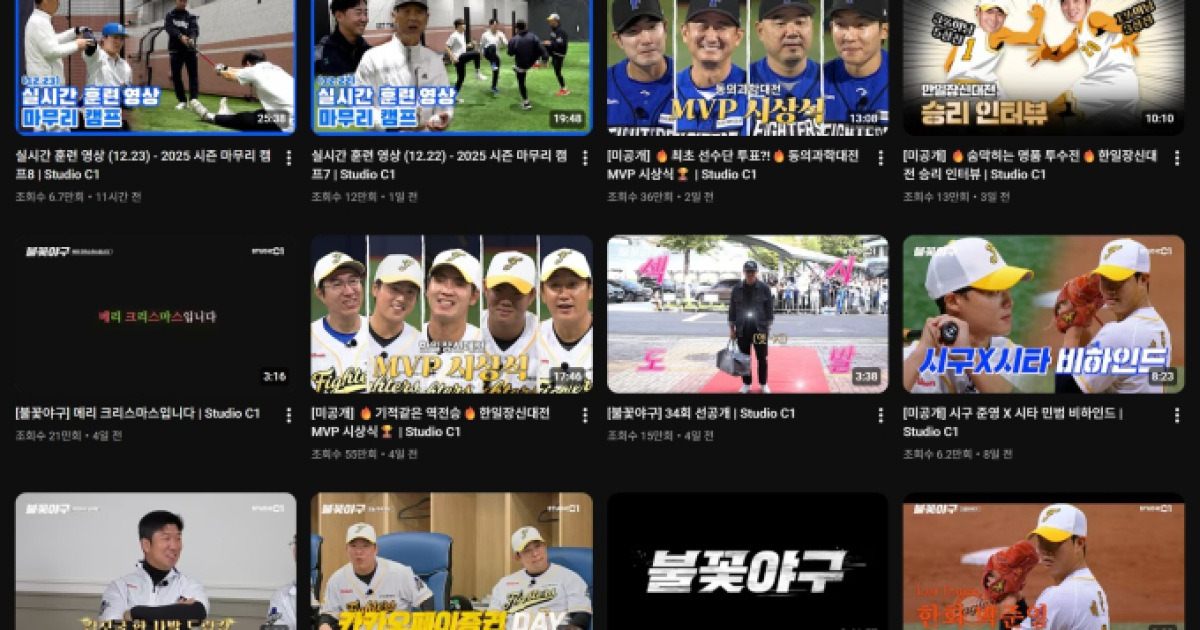 법원 판결에 불꽃야구, 영상 삭제