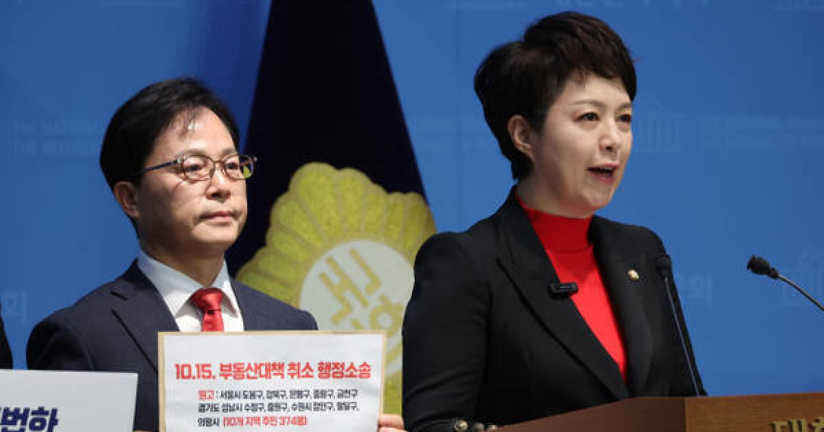 キム・ウネ「李政権の不動産対策で国民が苦しんでいる…行政訴訟提起」