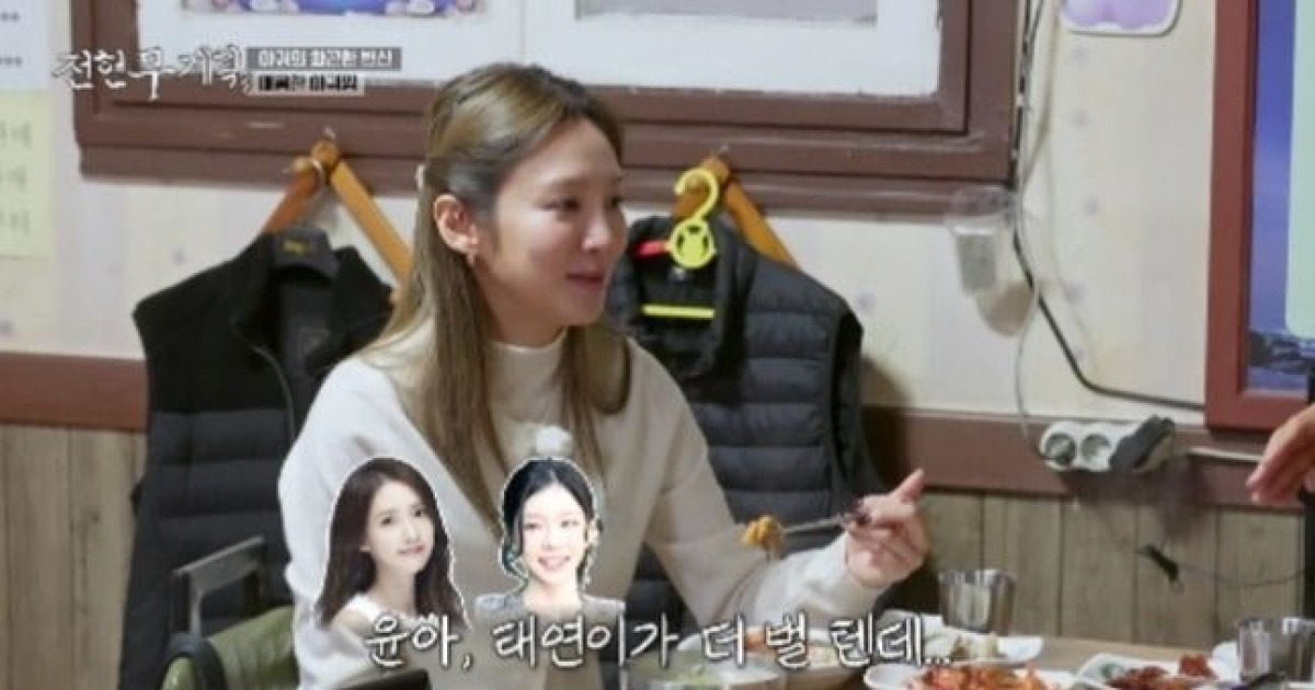 효연, 소녀시대 수입 서열 공개… "윤아 그리고 태연…"