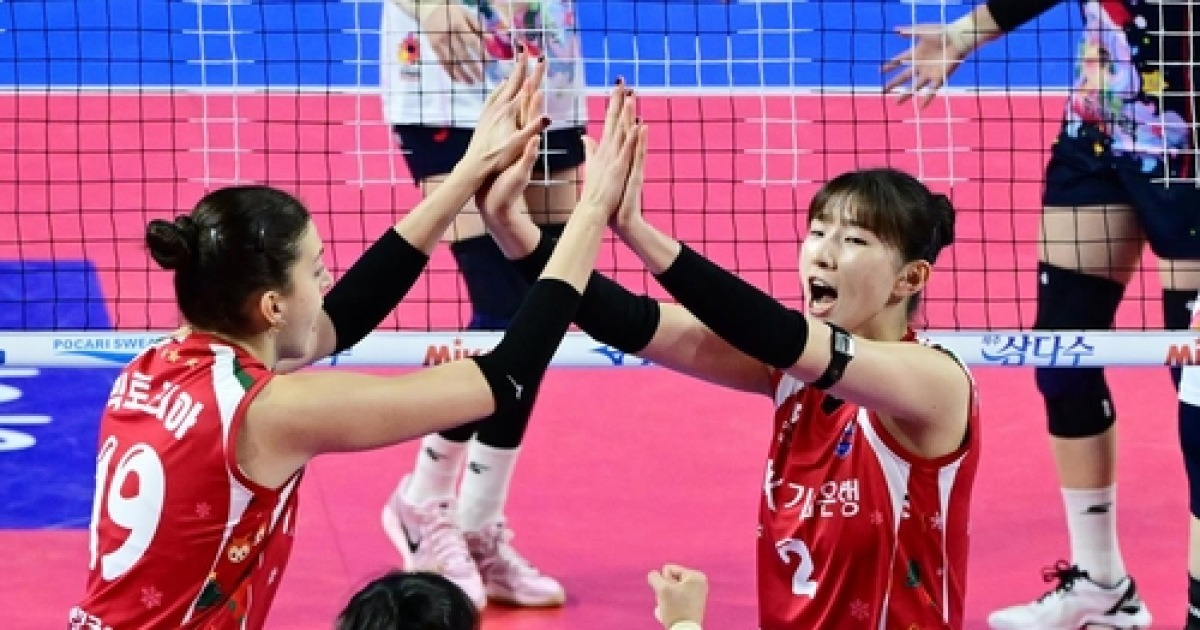 기업은행, 정관장 완파하며 연패 탈출…여오현 체제 반등 신호