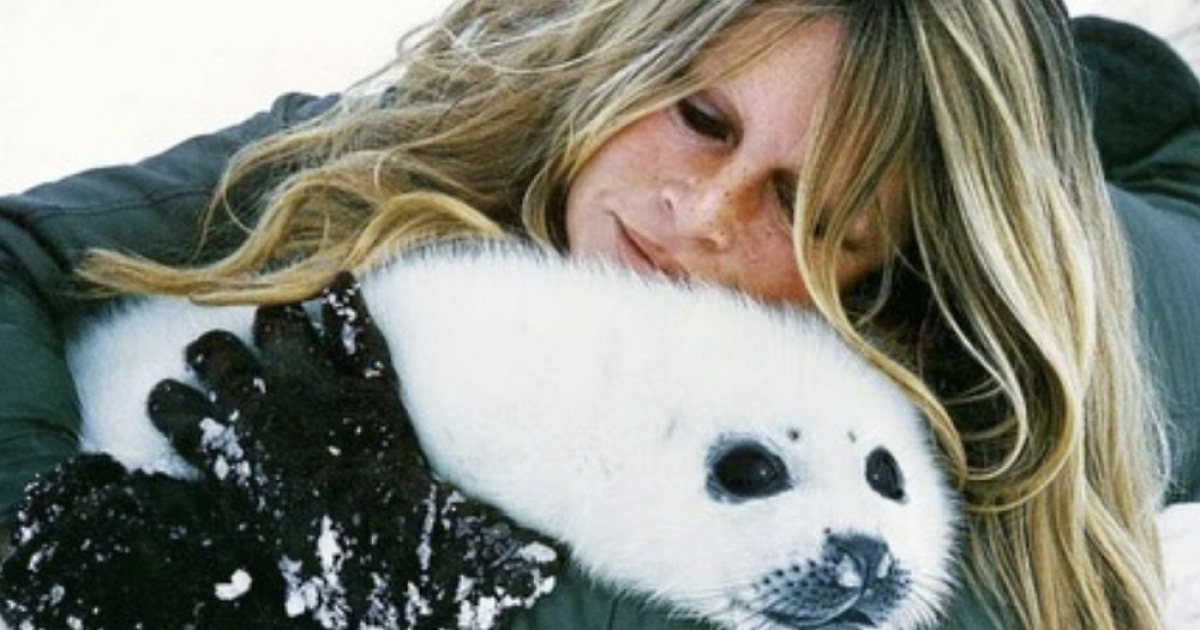 브리지트 바르도, 91세 사망…배우, 가수, 그리고 동물운동가