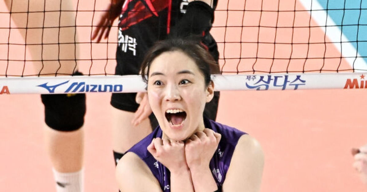 인쿠시와 재회 생각할 겨를이 없을 정도... 이나연 솔직 고백 '어떻게 연패 끊지'라는 생각뿐 [MD대전]