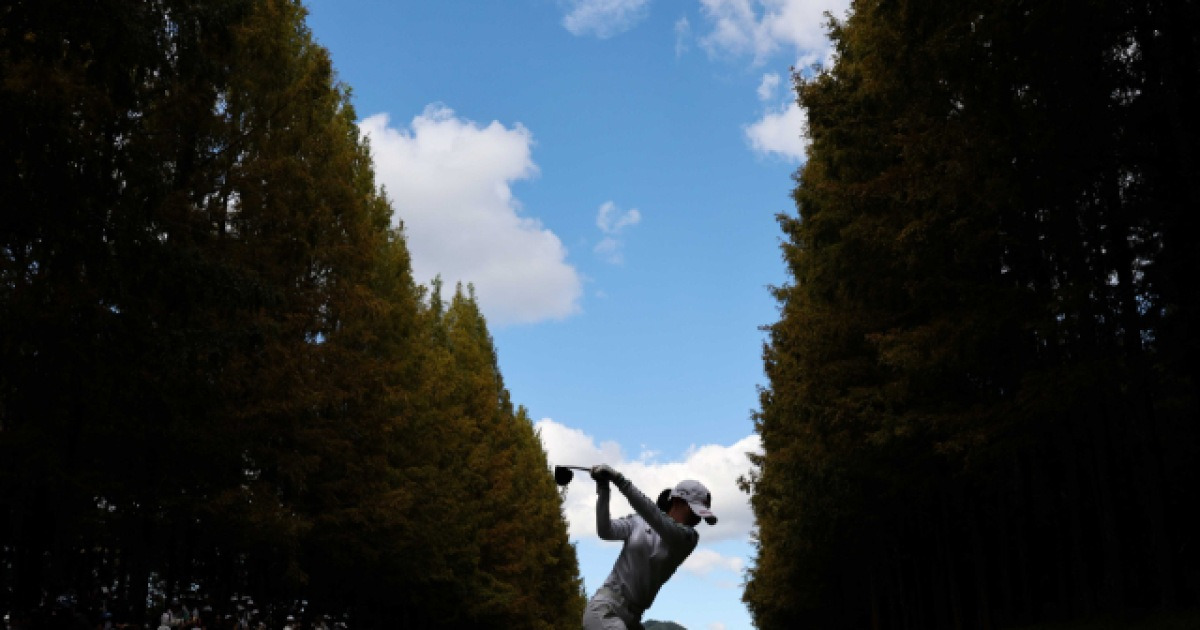 어느 KLPGA 열성팬의 세 가지 소원 ‘황유민의 장타’ ‘노승희의 쇼트게임’ ‘박현경의 퍼팅’···그보다 더 중요한 건 ‘건강한 골프’ [오태식의 골프이야기]