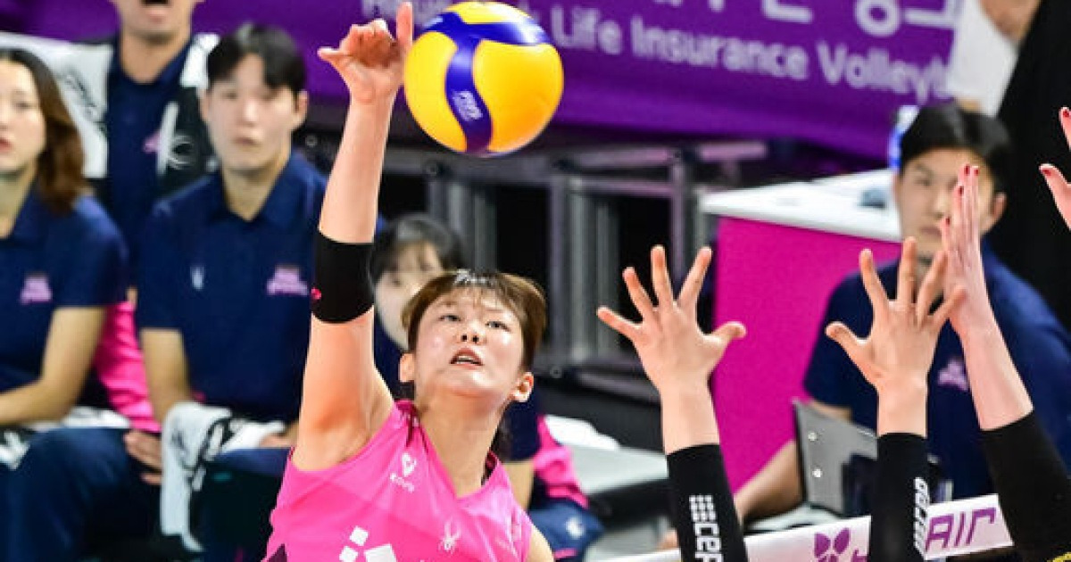 김연경 공백 걱정 NO! '2위 추격' 흥국생명, 저력 보여주는 '디펜딩 챔피언'