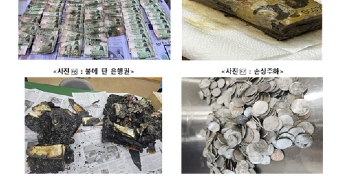 지난해 폐기 화폐 쌓으면 에베레스트산 높이 17배...액면가 기준 2조8404억원