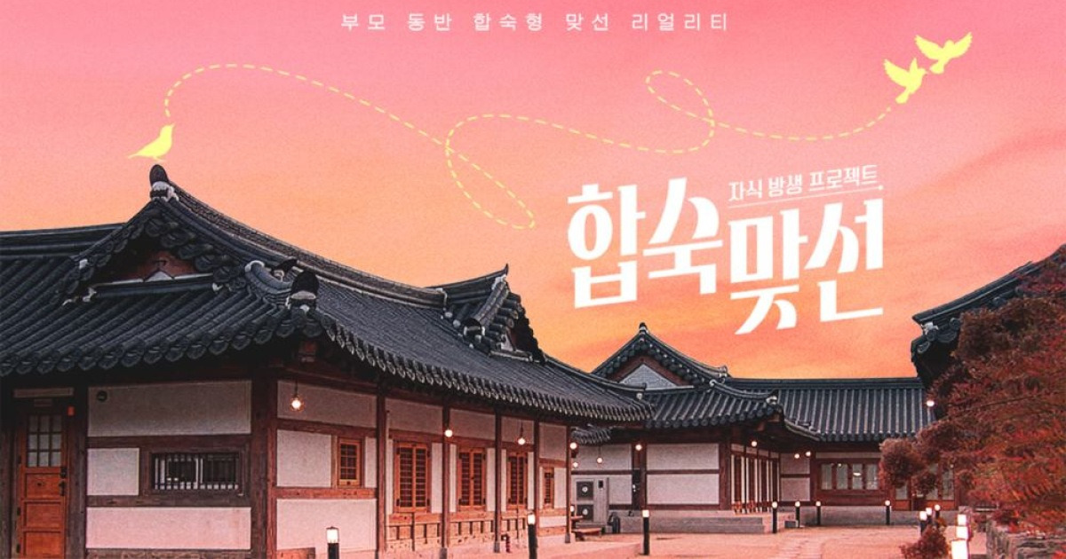 SBS 합숙 맞선 관련 보도 이미지