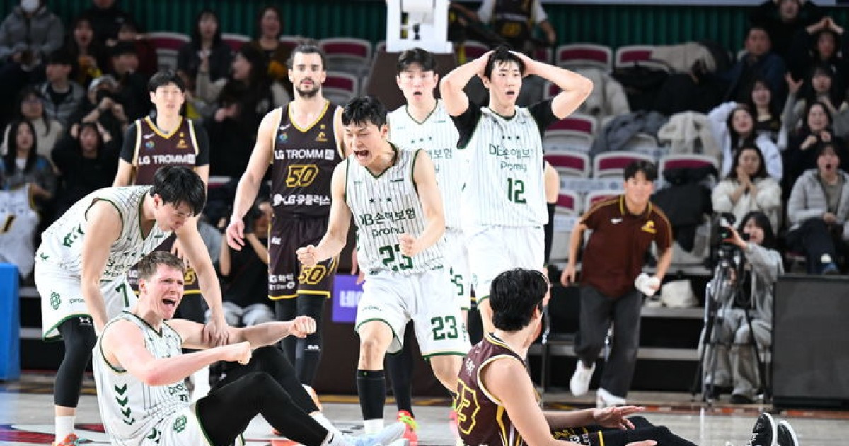 프로농구 DB, 연장 접전 끝에 1위 LG 제압
