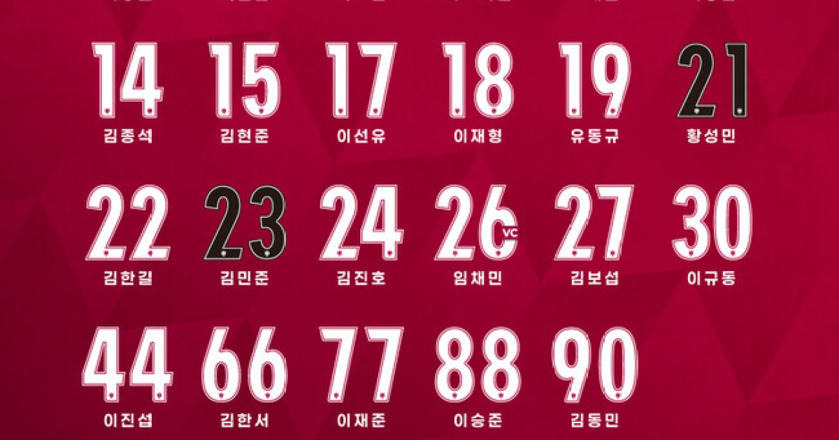 [공식발표] 신생팀 용인FC, 2026시즌 등번호 확정...'국가대표 출신 석현준 9번'