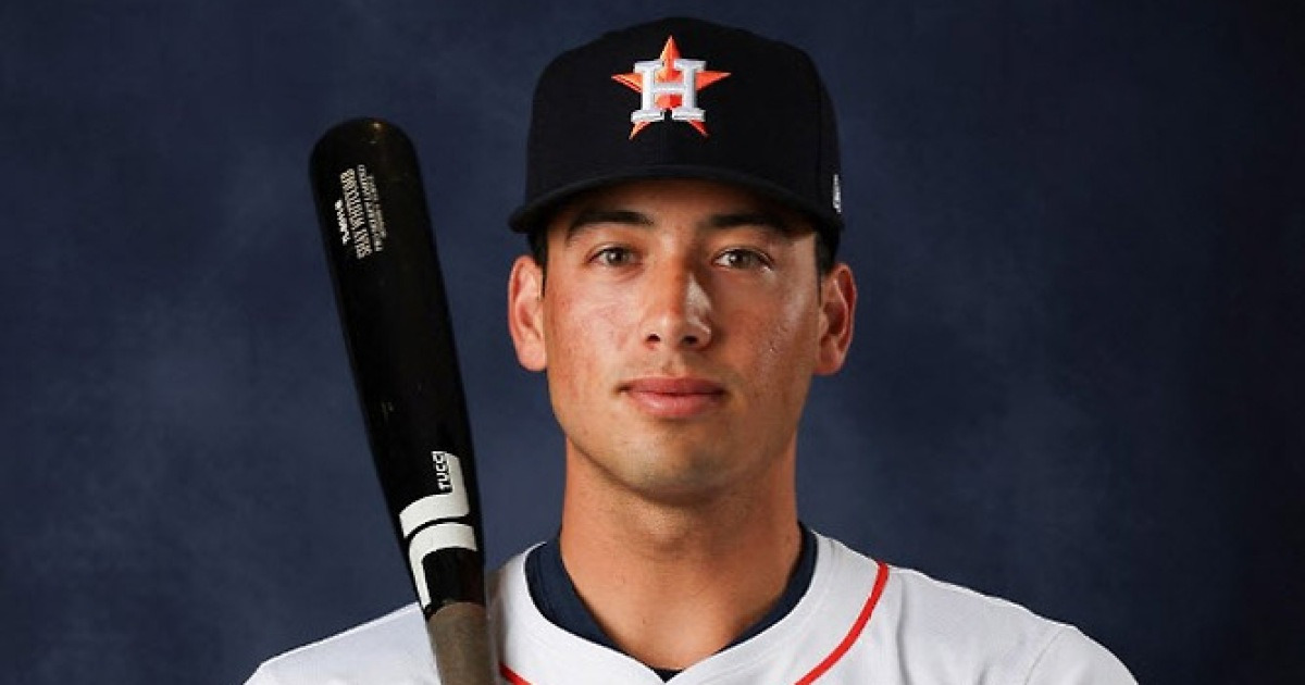 WBC 한국대표팀 관련 보도 이미지