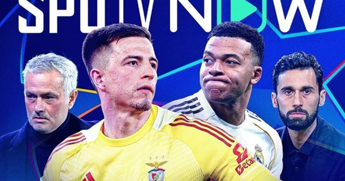 UCL 플레이오프 관련 보도 이미지