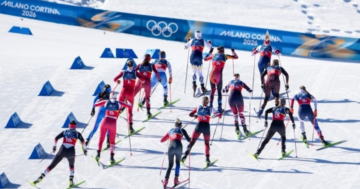 올림픽 스키장에 난입한 늑대개, 위험하거나 귀엽거나