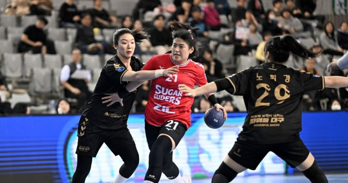 女子ハンドボールSK、大邱破って10戦伝承…慶南・三陟島勝利（総合）