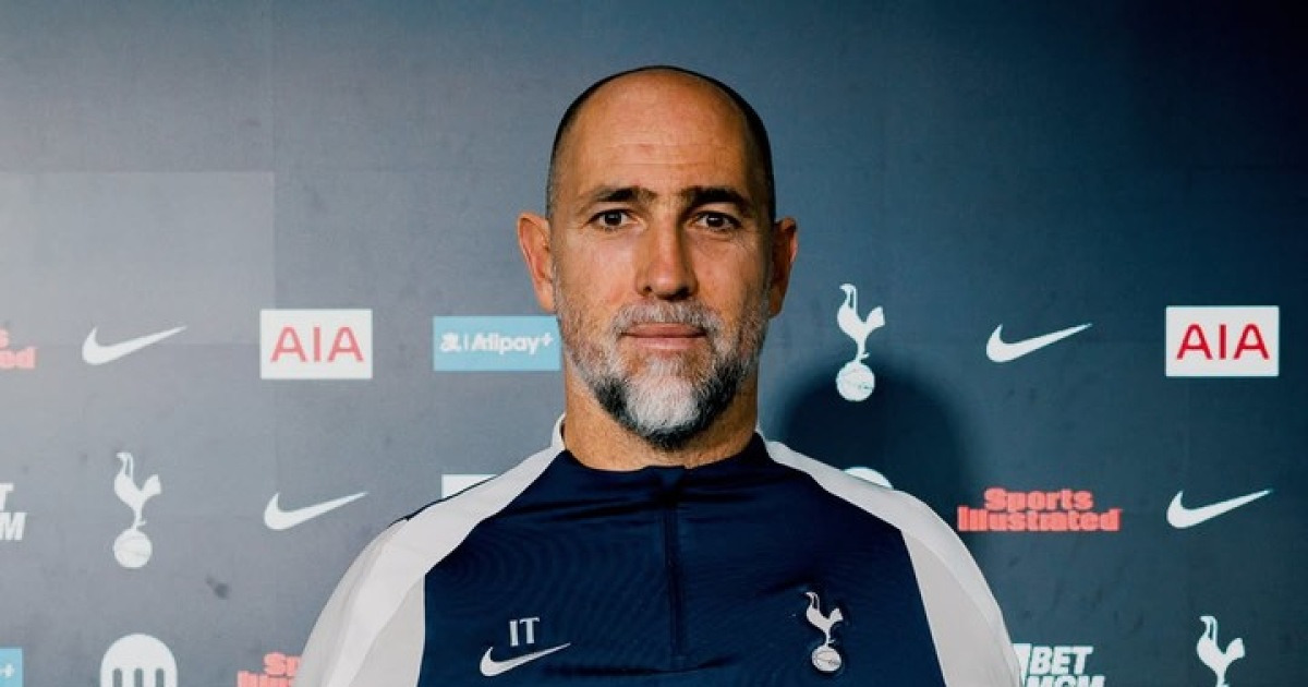 토트넘 관련 기사 이미지