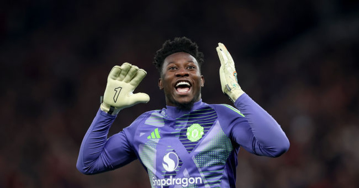 반 데르 사르 관련 보도 이미지