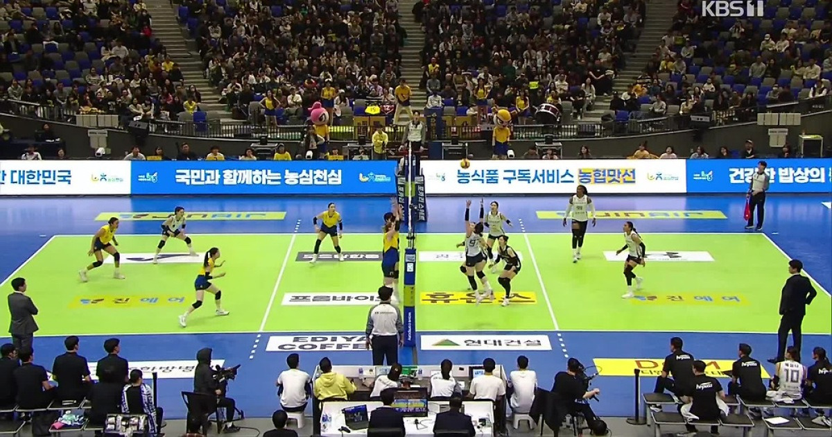 [오늘의 영상] 여자배구 묘미 랠리 그 안의 강소휘!