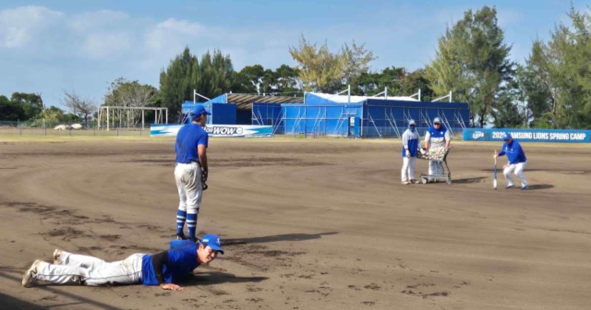 삼성 라이온즈, 내야진의 강력한 수비로 정상 노리다