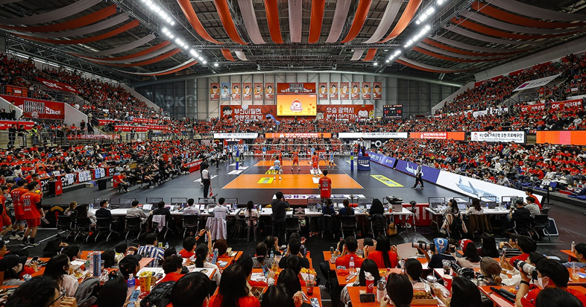부산 팬들의 열렬한 응원, OK저축은행 배구단의 승리를 견인하다